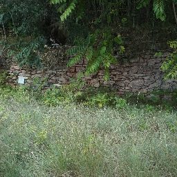 DSC03637.JPG