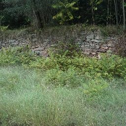 DSC03638.JPG