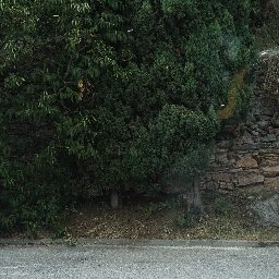 DSC03650.JPG