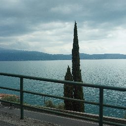 DSC03660.JPG