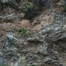 DSC03672.JPG