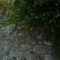 DSC03692.JPG