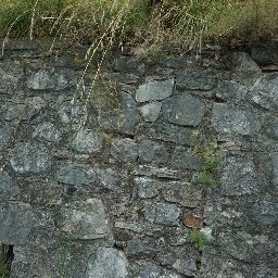 DSC03693.JPG