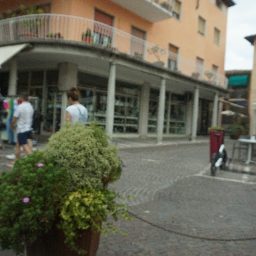 DSC03755.JPG
