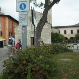 DSC03772.JPG
