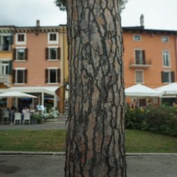 DSC03779.JPG