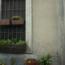 DSC03823.JPG