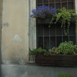 DSC03824.JPG