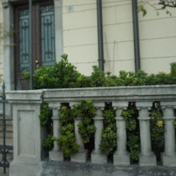 DSC03835.JPG