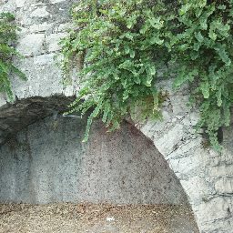 DSC03890.JPG