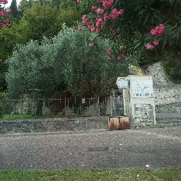 DSC03903.JPG