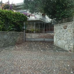 DSC03909.JPG