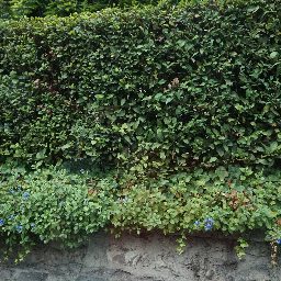 DSC03950.JPG