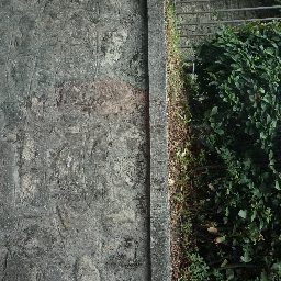 DSC03954.JPG