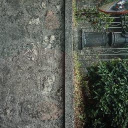 DSC03955.JPG