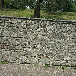 DSC04010.JPG