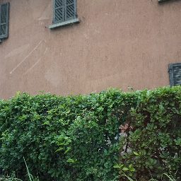 DSC04078.JPG