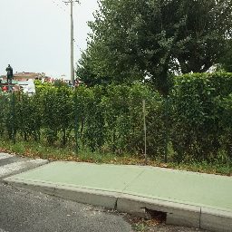 DSC04154.JPG