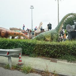 DSC04157.JPG