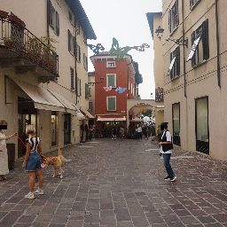 DSC04201.JPG