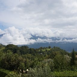 DSC04213.JPG