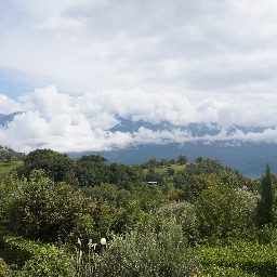 DSC04214.JPG