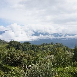 DSC04215.JPG