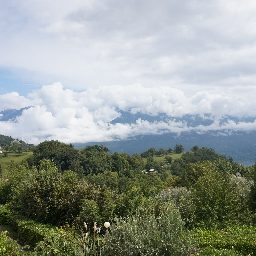 DSC04216.JPG