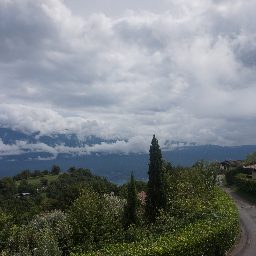 DSC04223.JPG
