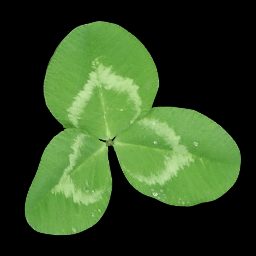 clovah1.png
