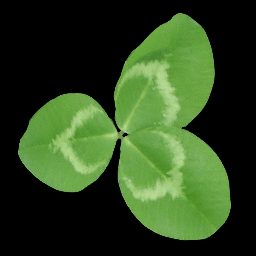 clovah3.png