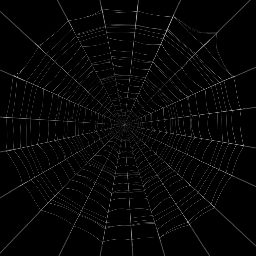 spiderweb.png