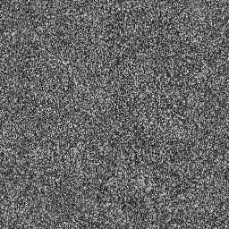 Carpet_01_1024px.png
