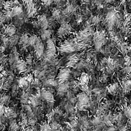 Carpet_05_256px.png