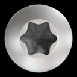 Screw_head_torx_03_rough.png