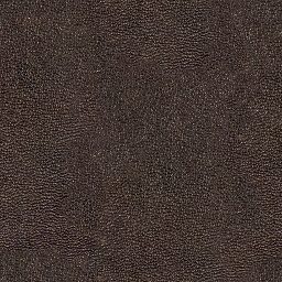 Leather_012_512px.png