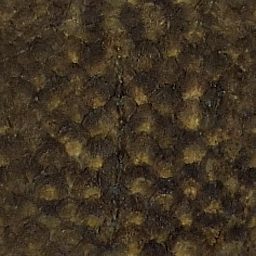 Fish_Skin_02_256.png
