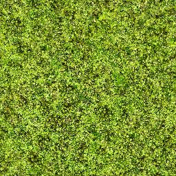 Moss_01_1024px.png
