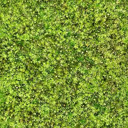 Moss_02_1024px.png