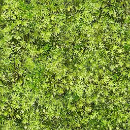 Moss_03_512px.png