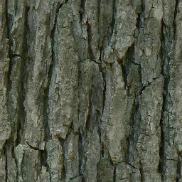 Tree_bark_01_512px.png