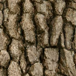 Tree_bark_02_512px.png