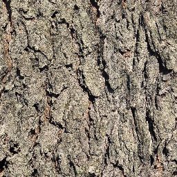 Tree_bark_04_512px.png