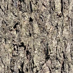Tree_bark_05_512px.png