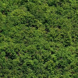 Trees_canopy_01_1024px.png