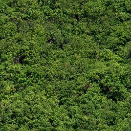 Trees_canopy_02_512px.png