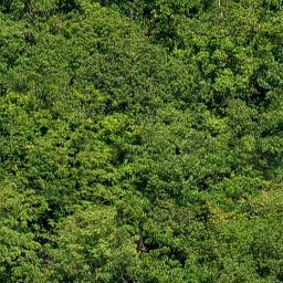 Trees_canopy_05_512px.png
