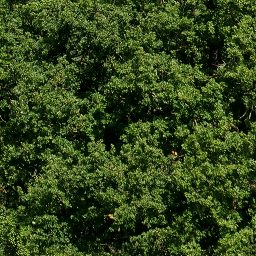 Trees_canopy_09_512px.png