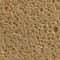 Sponge_01_1024px.png