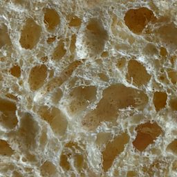 Sponge_04_256px.png